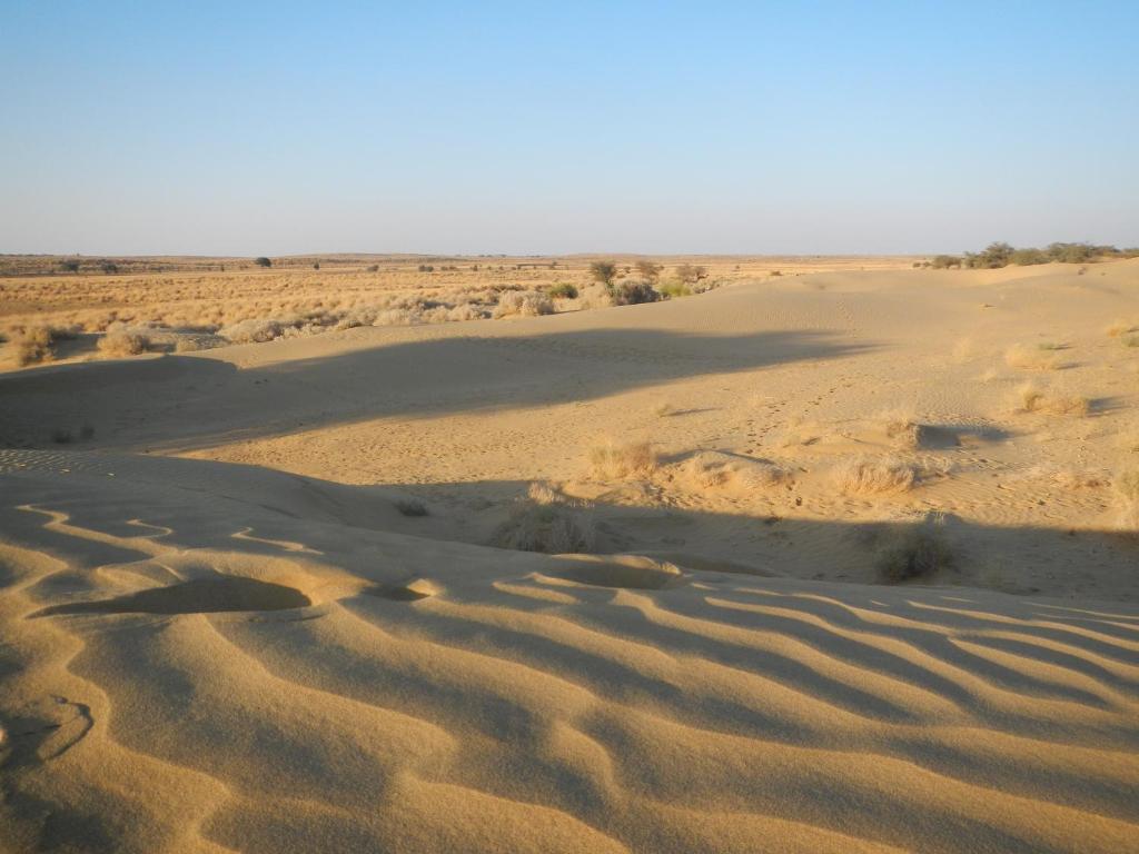 Hotel Renuka Jaisalmer Buitenkant foto